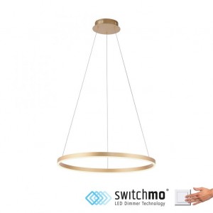Suspension LED Cercle lumineux D.58 3650lm-Laiton doré